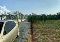 Bán Lô Đất 1638M2 Hưng Long, Bình Chánh Có 300M2 Thổ Cư Qh Khu Dân Cư 11 Tỷ Khoảng 6 Triệu7/M2
