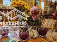 Cho Thuê Nhà Mặt Phố Khương Trung Đoạn Đẹp Nhất Diện Tích 60M X 7Tmặt Tiền13M Giá Bán 45 Triệu Mọi Mô Hình