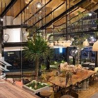Siêu Phẩm Lô Góc Tại Nguyễn Thị Định - Cầu Giấy. Vị Trí Cực Đắc Địa Phù Hợp Kinh Doanh Cafe