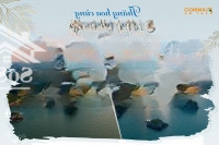 Bán Gấp Căn Hộ 1 Phòng Ngủtại Flamingo Cát Bà Giá Nhỉnh 2 Tỷ, Full Nội Thất 5 Sao