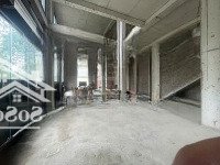 Cho Thuê Nhà Mặt Phố Phố Chùa Láng, Giá Thỏa Thuận, 280M2, 4 Tầng, Mặt Tiền 40M Uy Tín