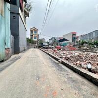 80m2 Bến Trung, Bắc Hồng đường trải nhựa sát bìa làng. 0362608492