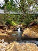 Bđs Đà Lạt Đầu Tư Du Lịch, Nghỉ Dưỡng: Hơn 6000M Đất Trên Cung Đường Du Lịch Mimosa, Phường 10
