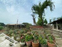 Đất Nền 03 Mặt Tiềndiện Tích5,000M2 Đường Lớn -Quy Hoạch Thổ Cư Ont