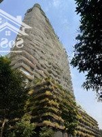 Giá Tốt - Chính Chủ Cần Bán Nhanh Căn Hộ Chung Cư Waterina Suites Phường Thạnh Mỹ Lợi, Thủ Đức