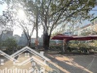 Siêu Phẩm Nhà Ngọc Hà, Ba Đình -72M2, Vài Bước Ra Mặt Hồ, 5T 6 Phòng Ngủ Ngõ Thông Tứ Tung,2 Thoáng -15 Tỉ