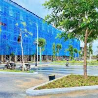 Khám Phá Bình Sơn Ocean Park: Thiên Đường Nghỉ Dưỡng Tại Ninh Thuận!