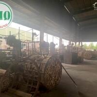 Cho thuê hoặc bán xưởng 6.070 m2 Bàu Bàng, Bình Dương