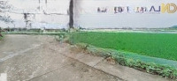 Giá Rẻ Mua Là Thắng - Sổ Đỏ Hà Nội 82M Thổ Cư- Đầu Tư Xây Nhà Ở -Gần Hồ Du Lịch 0971125995