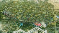 Booking Dự Án Vinhomes Green City - Đức Hòa, Long An 197Ha