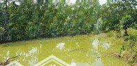Chính Chủ Bán Đất Rất Đẹp 2.000M², Có 500M² Thổ Cư, Mặt Tiền 70M Đường Ôtô Tại Thanh Sơn, Lương Sơn