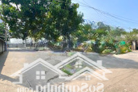 Siêu Phẩm Hiếm - 2 Mặt Tiền - 117M2 - Ngang 4.5M - Ôtô Vào Nhà - Nhỉnh 4T