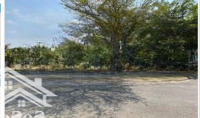 Bán Đất 99.7M2 Tại Linh Tây, Thủ Đức, 20 Tỷ Vnd