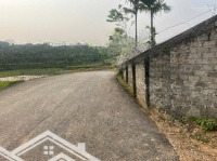Cần Bán 2256M 100M Thổ Cư. Tại Xa Liên Sơn
Full Tiện Ích.nghỉ Dưỡng. Nhà Xưởng Đều Thuận Tiện.