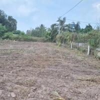 5x42 có thổ cư. Đường xe hơi. Dân cư đông. 510 tr