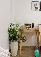 Biệt Thự Mini Phú Nhuận - 3 Tầng 3Pn