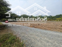 Xóm Bố Hiệp Thạnh 5X30 Full Thổ Cư, Shr Chhỉ 499 Triệu