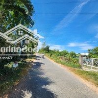 Công Ty Đấu Giá Hợp Danh Lam Sơn Sài Gòn Thông Báo Đấu Giá Tài Sản Giá Siêu Rẻ