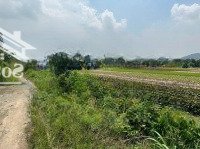 Cần Bán Lô Đất 4 Xào Phường Kim Dinh.tp-Bà Rịa