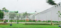 Bán Nhanh Đất Vàng Tại Đường Hùng Vương, Tam Kỳ