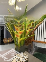 25,5 Tỷ Thương Lượng Nhà Mặt Tiền Nguyễn Cừ Thảo Điền Quận 2, 4 X28M, Sổ Hồng Hoàn Công Đường 8M