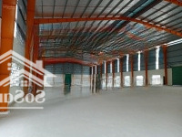 Cho Thuê Nhà Xưởng Kiên Cố 8000M2, 10.000M2, 12.000M2 Tại Kcn Hải Sơn, Tân Đức, Đức Hòa, Long An.