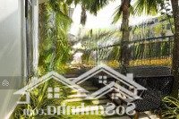 Cho Thuê Lakeview City - Nhà Phố 30 Triệu Căn Góc 8X20M, Shophouse Song Hành 40 Triệu Có Thang Máy