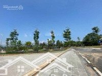 Donwntown - Bảng Hàng Quỹ Căn Cập Nhập Theo Ngày