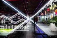 Cho Thuê Nhà Mặt Phố Xuân Thuỷ 400M2 Mặt Tiền 20M Giá Thuê 110 Triệu Mọi Mô Hình