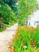 Cho Thuê Shophouse Thô Mặt Tiền Song Hành - Lakeview City, Quận 2, Giá Chỉ 25 Triệu/Tháng!