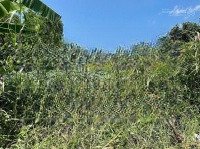 Công Ty Đấu Giá Hợp Danh Lam Sơn Sài Gòn Thông Báo Đấu Giá Tài Sản Giá Siêu Rẻ