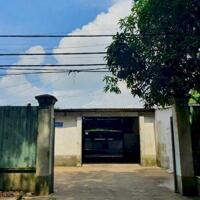 Nhà xưởng hẻm Nguyễn Thị Nê, xã Phú Hòa Đông tổng dt 667m2 full thổ giá 6,8 tỷ