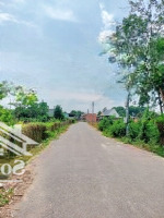 Cắt Lỗ Đất Đường Nhựa, Kế Kcn An Linh, Đối Diện Trường Học, Dân Đông, Sổ Sẵn Giá 480 Triệu