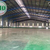 Bán / cho thuê nhà xưởng mới xây 3.000 m2 Bàu Bàng, Bình Dương
