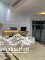 Cho Thuê Căn Biệt Thự Song Lập View Hồ Điều Hòa 12.4Ha Vinhomes The Harmony Hướng Đông Nam Cực Đẹp