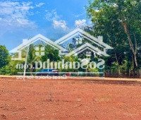 Bán Sào Đất 1.480 M2, Thổ Cư Sẳn Liền Kề, Giá Bán 225 Triệu, Nhựa Đổ Vào 500M, Gần Tt Chợ Trườn