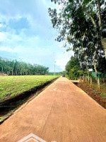 Bán Sào Đất 1.480 M2, Thổ Cư Sẳn Liền Kề, Giá Bán 225 Triệu, Nhựa Đổ Vào 500M, Gần Tt Chợ Trườn