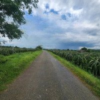 Công Ty Đấu Giá Hợp Danh Lam Sơn Sài Gòn Thông Báo Đấu Giá Tài Sản Giá Siêu Rẻ