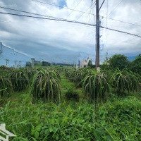 Công Ty Đấu Giá Hợp Danh Lam Sơn Sài Gòn Thông Báo Đấu Giá Tài Sản Giá Siêu Rẻ