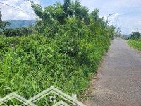 Công Ty Đấu Giá Hợp Danh Lam Sơn Sài Gòn Thông Báo Đấu Giá Tài Sản Giá Siêu Rẻ