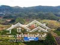 Chỉ 520 Triệu Có Ngay Đất Lâm Hà Gần Trung Tâm Đà Lạt, Khu Vực Phát Triển Mạnh, Sổ Hồng Riêng