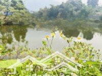 Bán Lô Đất Bám Hồ Tuyệt Đẹp Tại Tiến Xuân, Thạch Thất - 1797M2 (Trên Thực Tế 1825M2), Có 400M2 Ont