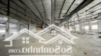 Cho Thuê Kho 7000M2 Pccc Tự Động Nghiệm Thu, Đường Xe Cont Phù Hợp Logictis, Kho Chứa Hàng