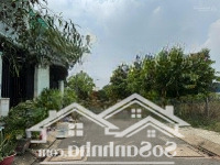 Lô Đất Ngay Đường Số 7, Gần Trường Cấp 2 Thông Tân Hội, Củ Chi, Shr 85M2, Giá Bán 1,85 Tỷ