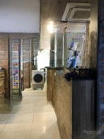 Bán Nhà Mặt Phố Cổ Hàng Bông , Ngã 5 Cửa Nam, Kinh Doanh Sầm Uất, Vỉa Hè Rộng , Sổ Đỏ Full Thổ Cư
