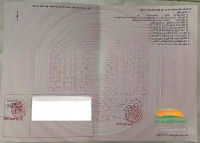 Bán Nền 100M2 Thổ Cư (5X20M) Đối Diện Trường Thcs Tân Hiệp Giá Bán 850 Triệu Đồng