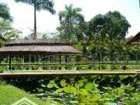 Đất Thổ Cư Nhà Vườn Củ Chi - 413,8M2 -Chỉ 3,5 Tỷ - Ngay Làng Sinh Thái Nghĩ Dưỡng