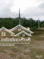 Bán Đất 50.000 M2 Tại Đường Đt 651E Thôn Xuân Cam, Xã Xuân Sơn, Vạn Ninh, Khánh Hòa, Chỉ 135 Tỷ