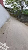 Hiếm, Bán Lô Đất Phượng Đồng, Phụng Châu, Diện Tích 58.5M2, Ô Tô Đỗ Cửa, Đầu Tư Sinh Lời