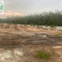  Cho thuê nhà xưởng mới đang xây DT 16.373m2 ở Lai Hưng Bàu Bàng, BD